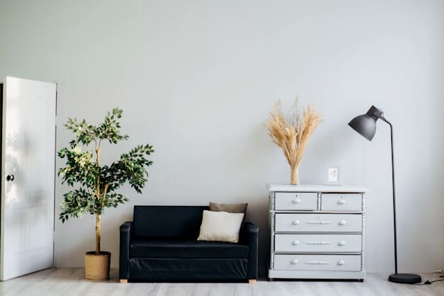 Sofa between a dresser, a lamp, and a plant. 