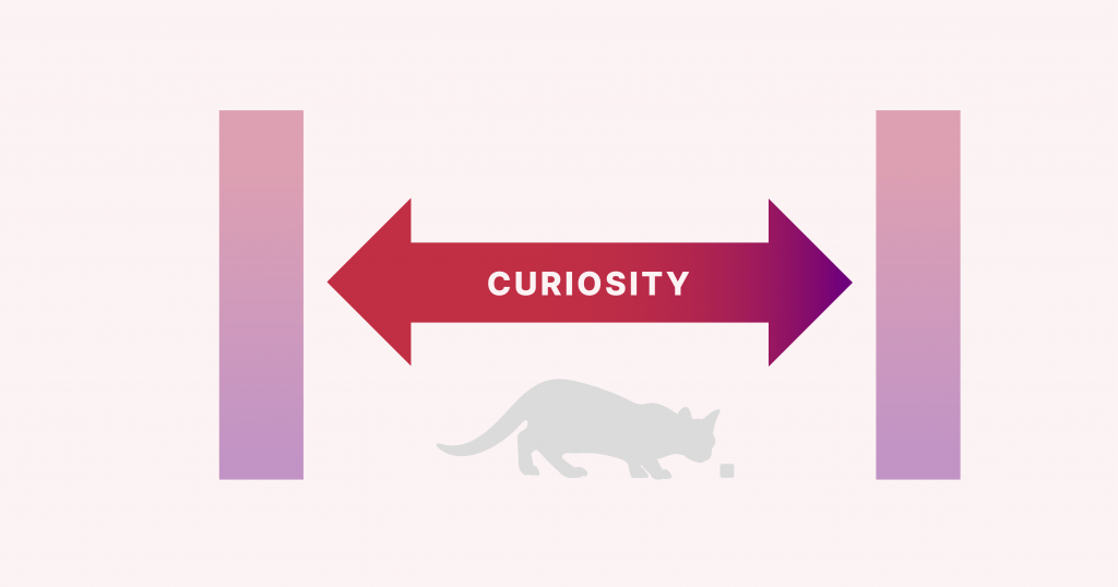 Curiosity gap, or the gap between what the reader already knows and what they don't know yet. 